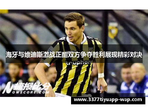 海牙与维迪斯激战正酣双方争夺胜利展现精彩对决