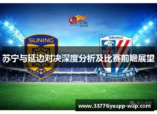 苏宁与延边对决深度分析及比赛前瞻展望